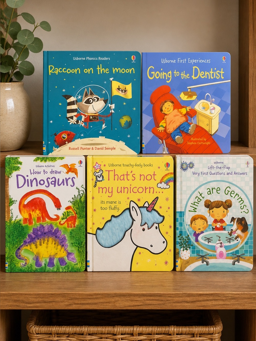 BUNDLE of 5 various Usborne books for‎ young readers and learners